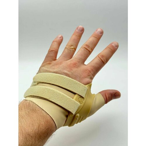 ������ ������ ����� �� ������� ����� ����, ����� ����