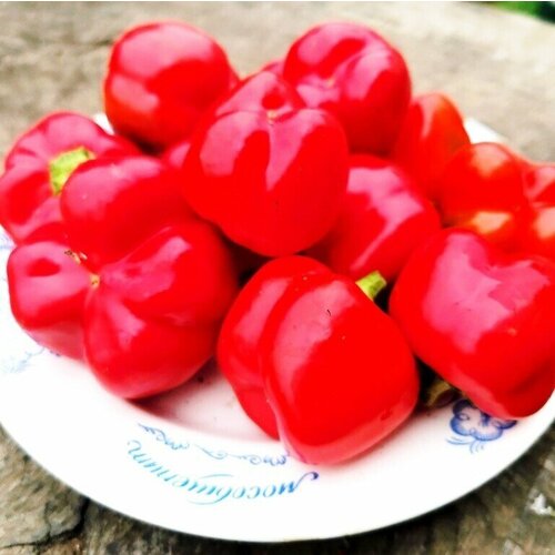 ������ ������ ����� ������� ����� ����� + ������� ����