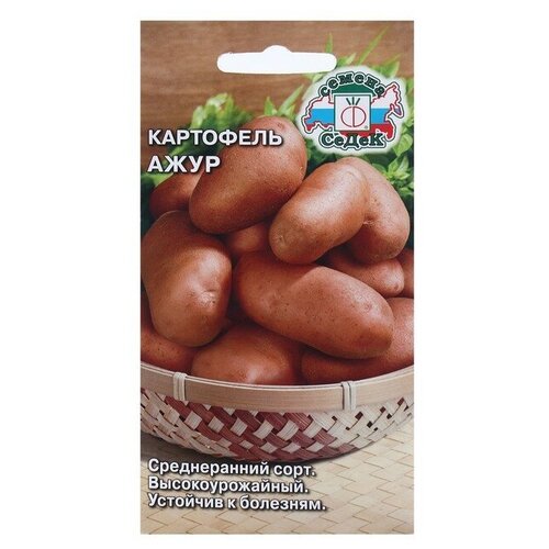 ������ ������ ������ ��������� 