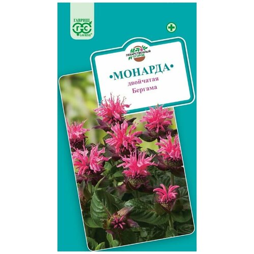 ������ ������ ������� ��������� ������� (0,05 �), 2 ������ ����