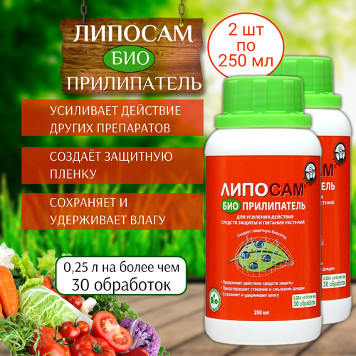 ������ ������ ��������� ����������� ������� 250 ��, 2 �� ����