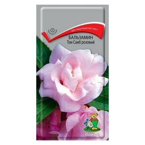 ������ ������ ��������� ���� ���� ������� ���������� 0,1 �����, ����� ����