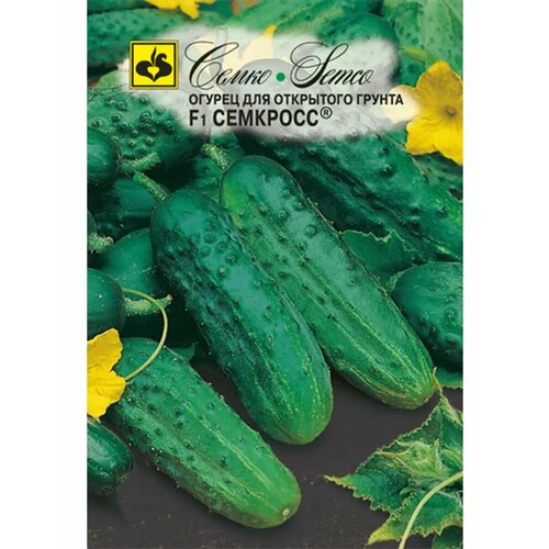 ������ ������ ������ 