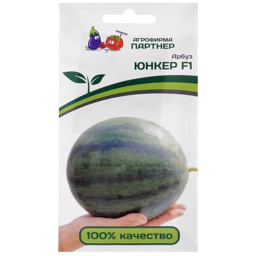 ������ ������ ������� ����� 