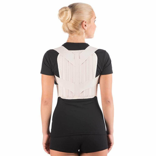 ������ ������ ��������� ������ Trives �.54.01 (�-1778) ������� M ����