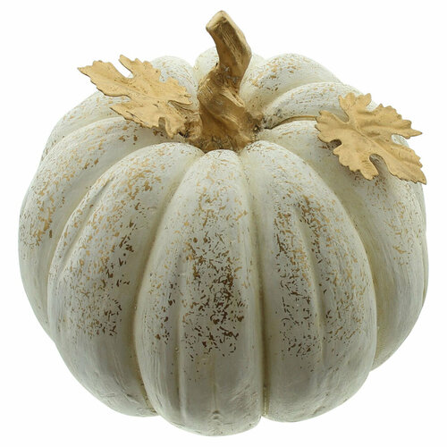 ������ ������ ������������ ������ 