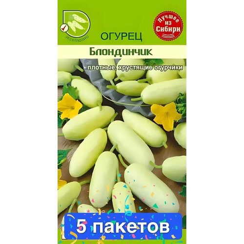 ������ ������ ������ ������ ������ ����� 