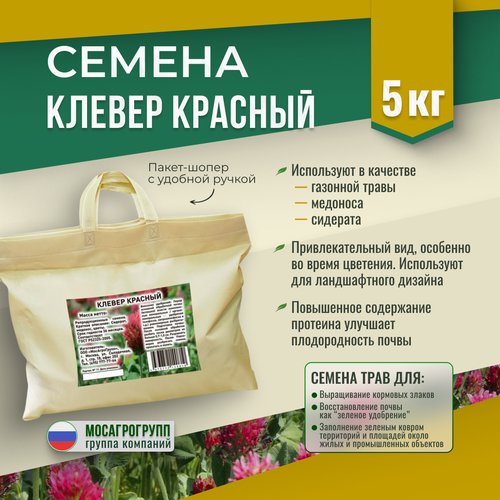 ������ ������ ������ ������� �������� ������������ 5�� ����� ����