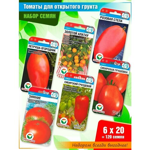 ������ ������ ����� ����� ������� 