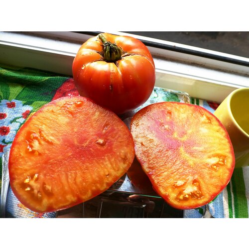 ������ ������ ������������� ������ ������ ����� ������ ����