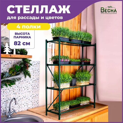 ������ ������ ������� ��� ������� 