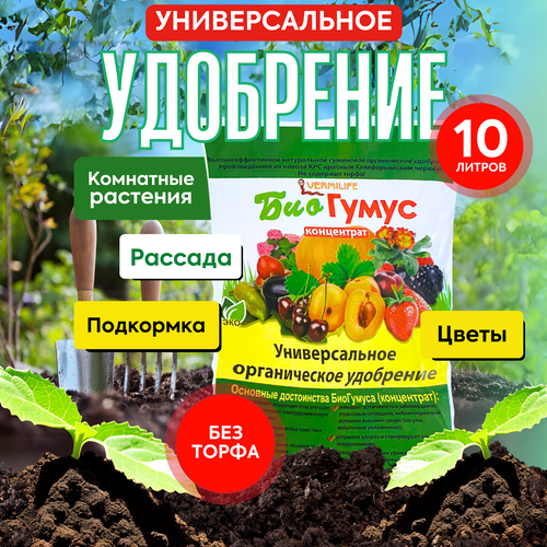 ������ ������ �������� ���������� - ������������ ��������� ��� �������� 10 ������ ����