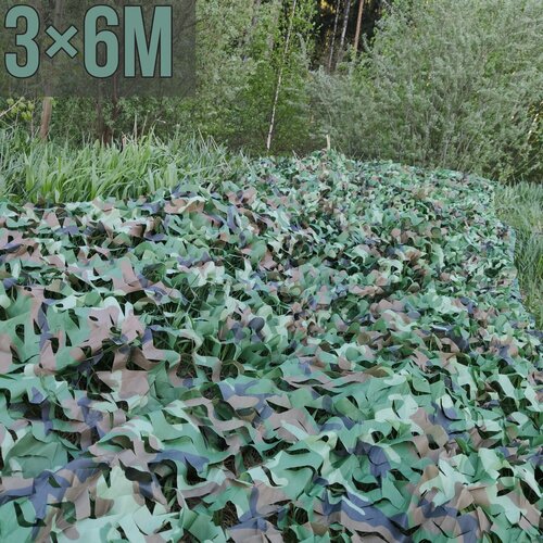 ������ ������ ������������� ���� 3?6 � ����������� � ������� ����