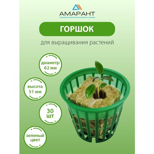 ������ ������ ������ ������� ��� ������� 30 �� ������� ����