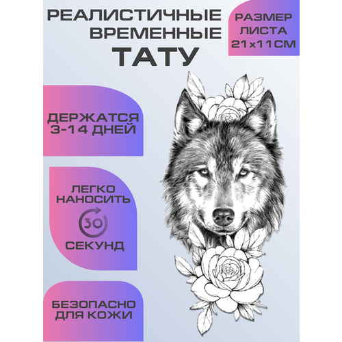 ������ ������ ���� ���������� ��������������, ��������� ���� ����