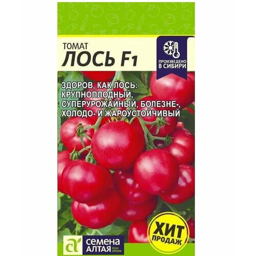 ������ ������ ����� ���� F1 �/� 3�� ����