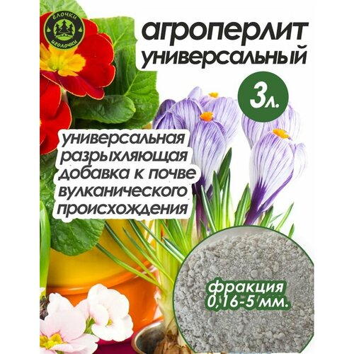 ������ ������ ���������� ��� �������� � ������ 3 ����� ����