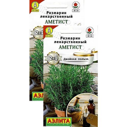 ������ ������ �������� ������� (20 �����), 2 ������ ����