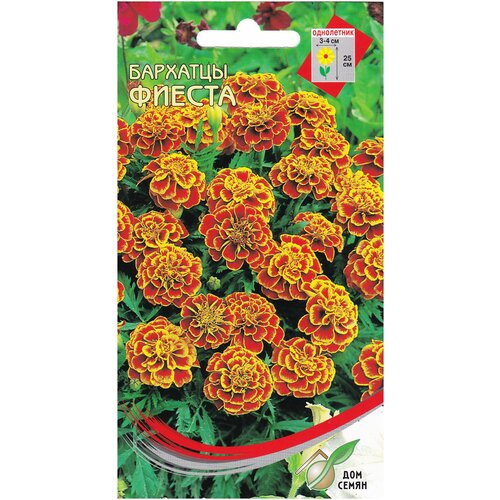 ������ ������ �������� (������� �����������) ������, 80 ����� ����