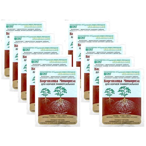 ������ ������ ��������� ��� ������ ��� ��������� �������� ���������� �� 10 � (10 ������� �� 30�) ����