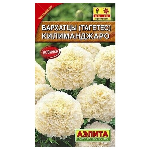 ������ ������ ������. �������� 