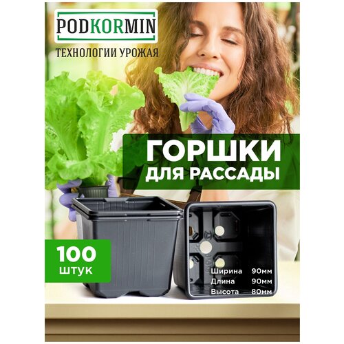     998  - 500 , 100  Podkormin   -     , -,   