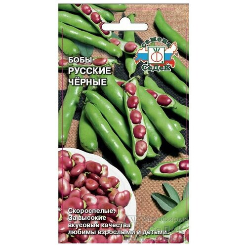 ������ ������ ������ ����� ����� ������� ������ 10 � ����