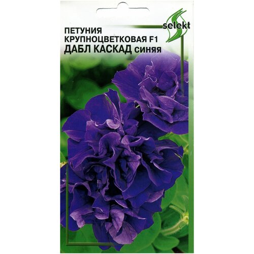 ������ ������ ������� �������� F1 ���� ������ �����, 10 ����� ����