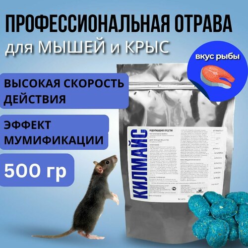������ ������ ������ �� ���� � ����� ���������������� �������� ����