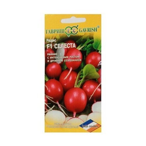 ������ ������ ������ ������ ������ ������� ������� ������������� ������� F1 0,5 � ����