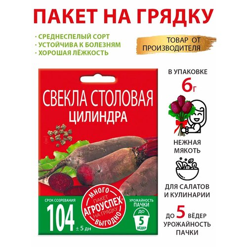 ������ ������ ������ ������ �������� 6� ����