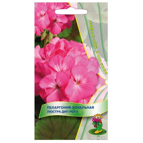 ������ ������ ������ ����� ���������� ��������� ������ ��� ���� 5 ��. ����