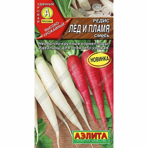 ������ ������ ������ ����� ��� � �����, ����� (������) 2� ����