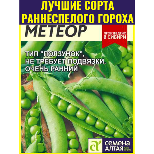 ������ ������ ������ ����� ������ ����