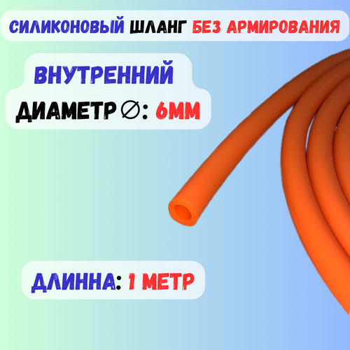 ������ ������ ����� ����������� ��������� 6�� ��������� - 1 ���� ����