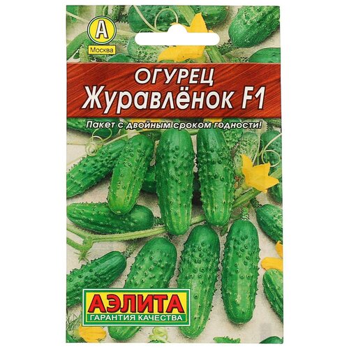 ������ ������ ������ ������ 