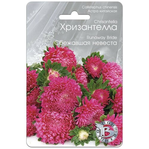 ������ ������ ������ ����� ��������� ����������� ��������� ������� (30 �����) ����