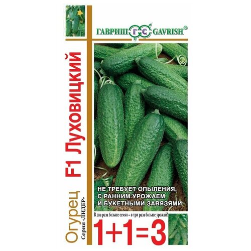 ������ ������ ������ ������ 