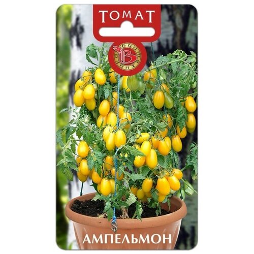 ������ ������ ����� ��������� ����������� (������ ���������� 10��) ����