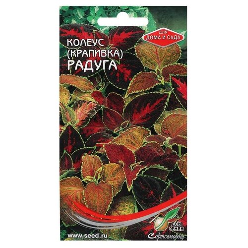 ������ ������ ������ ��� ����� ����� ������ ����� ������, 130 �� ����