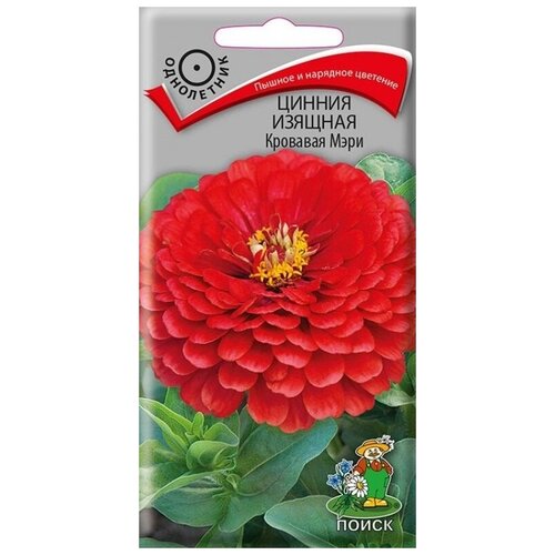 ������ ������ ������ ������ ������� �������� ���� 0,4 �� ����