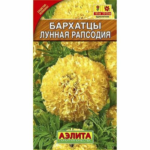 ������ ������ ������ �������� ������ �������� ����������, (������) 0,3� ����