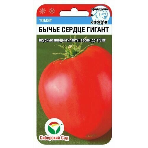 ������ ������ ������ ����� ����� ������ ������ 20�� ����� (��������� ���) ����