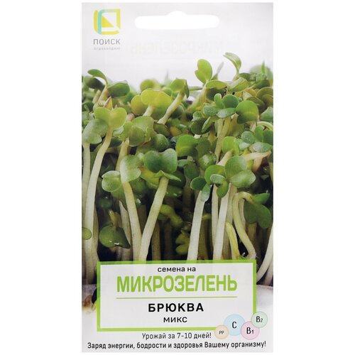 ������ ������ ������ ����� ����������� ������ ����, 5� ����