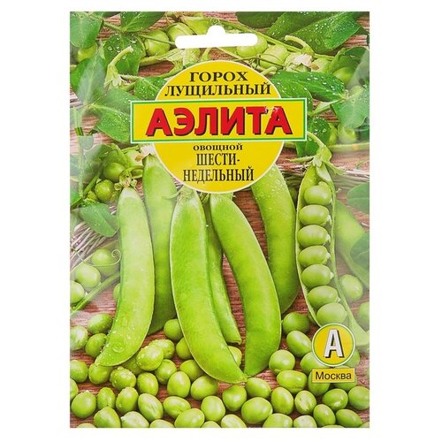 ������ ������ ������ ��������� ������ ����� ������� �������������� ��������� 25 � ����