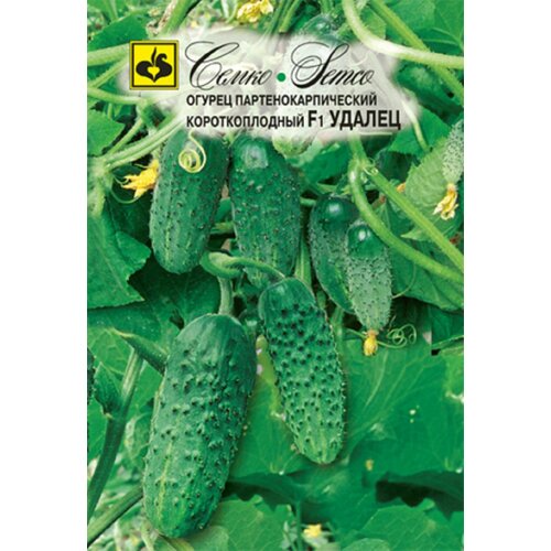 ������ ������ ������ ������ ������ F1 10�� ������������������ ������ (�����) ����