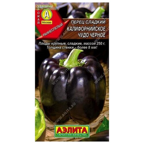 ������ ������ ����� 