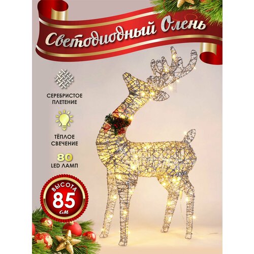 ������ ������ ����� ���������� ������������ ���������� 80 �� ���������� ����