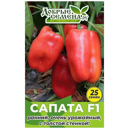 ������ ������ ������ ����� ������ F1 - 25 �� - ������ ������. �� ����