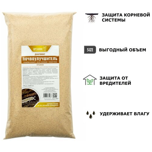 ������ ������ �������� ������� 5� ��������������� ������� ����